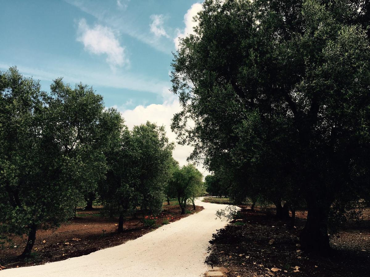 Fikus - The Apulian B&B Ceglie Messapica Exteriér fotografie