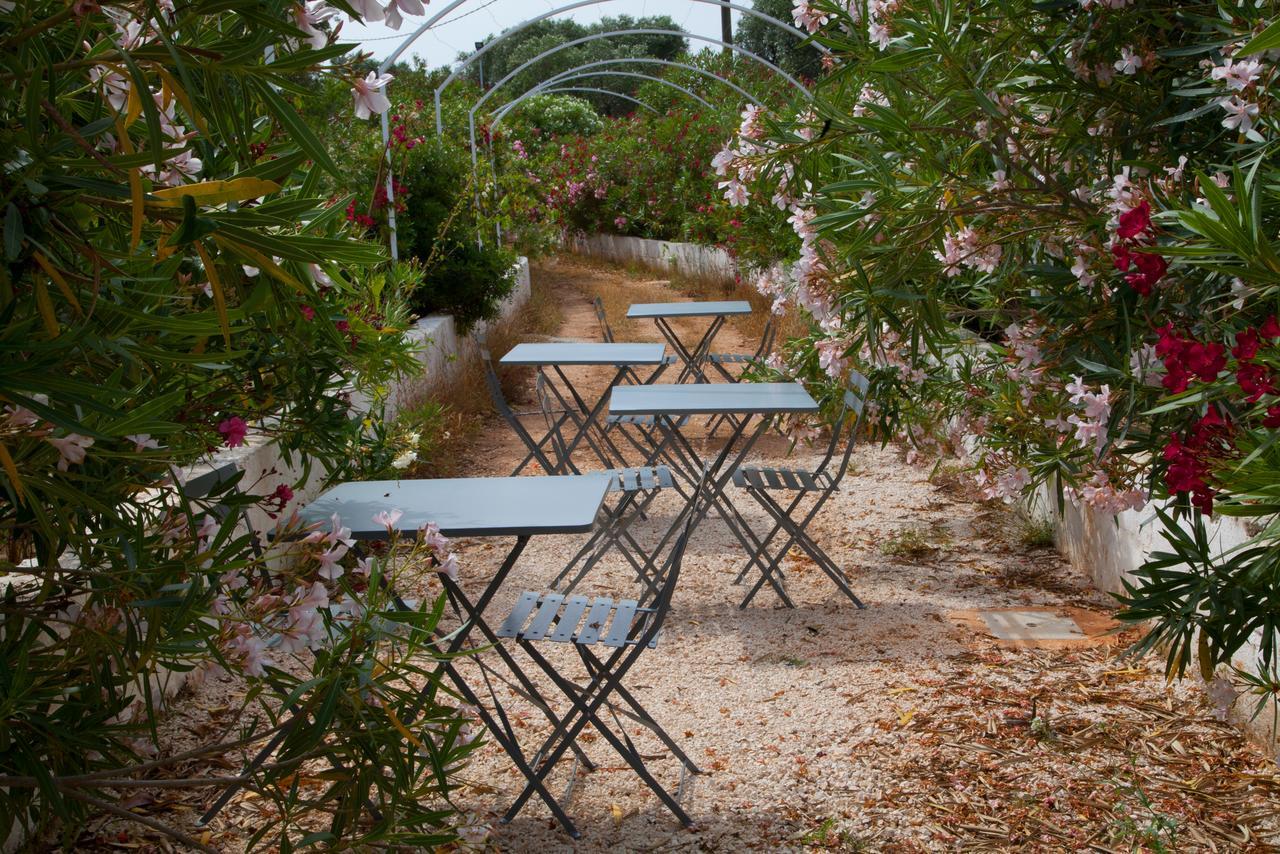 Fikus - The Apulian B&B Ceglie Messapica Exteriér fotografie
